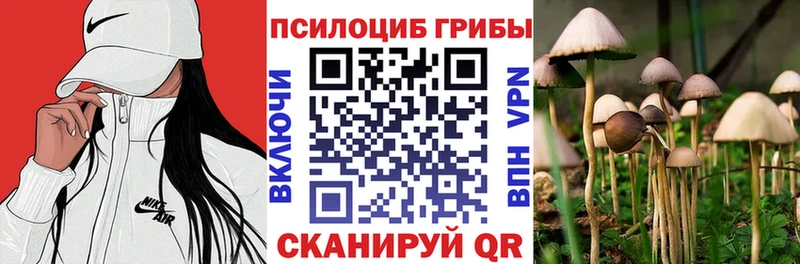 Псилоцибиновые грибы мицелий  Новомосковск 